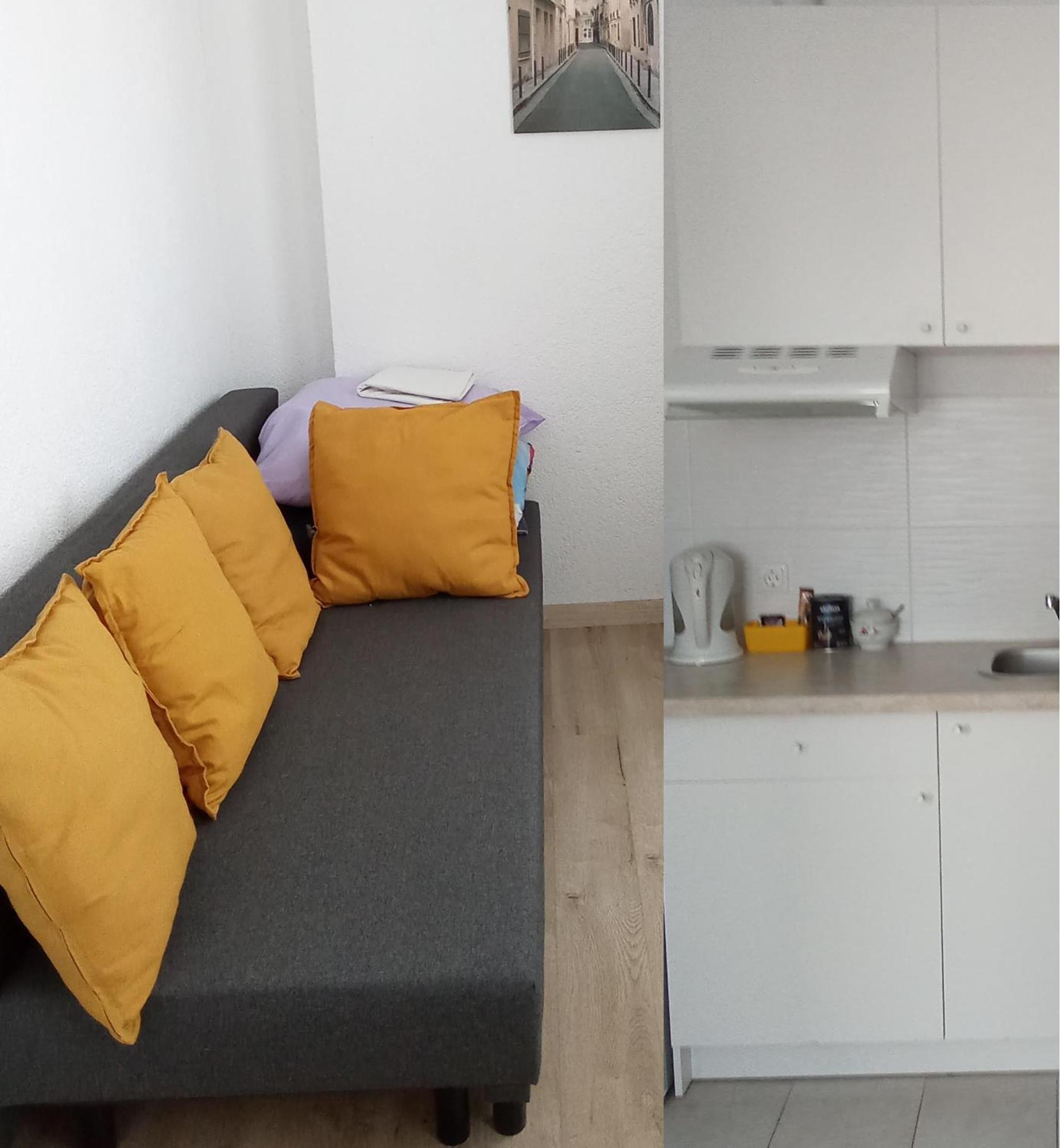 Miko Apartamentai Kaunas Esterno foto